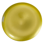 Race Gold Gloss [SPECIAL]